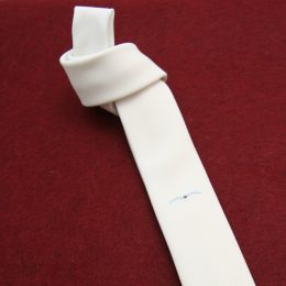 CRAVATTA PER EQUITAZIONE ANIMO Cravatte & Plastron 